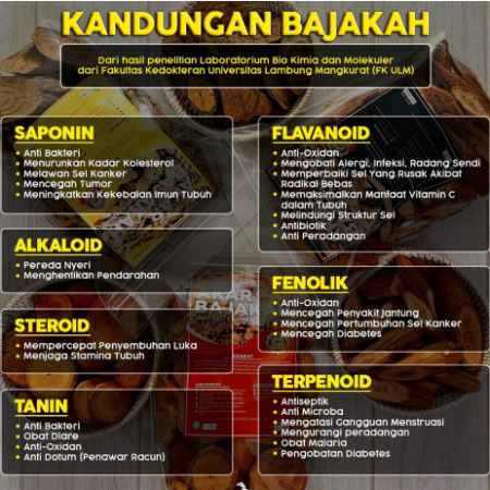 Akar Bajakah Tunggal 1 KG Kering Siap Seduh Garansi 100 % ORIGINAL Asli Kalimantan