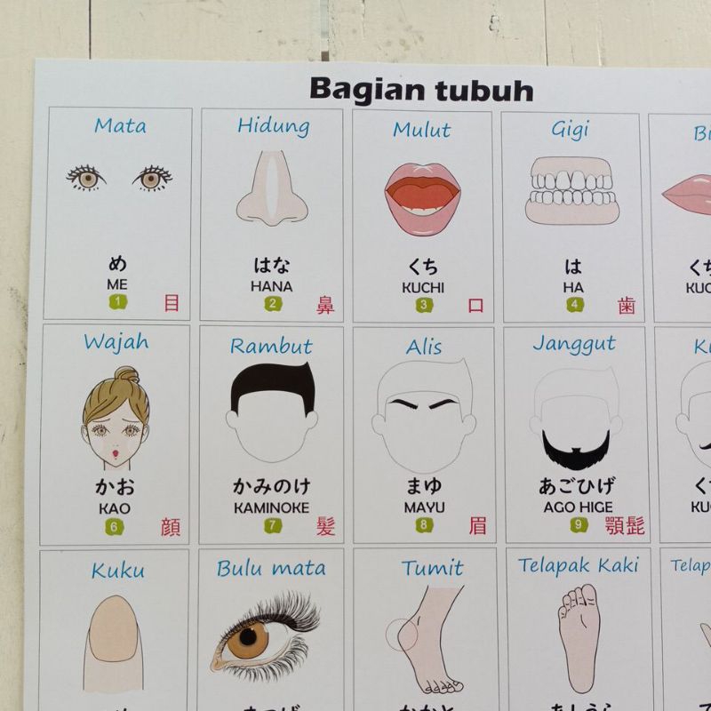 

Poster Jepang Bagian Tubuh