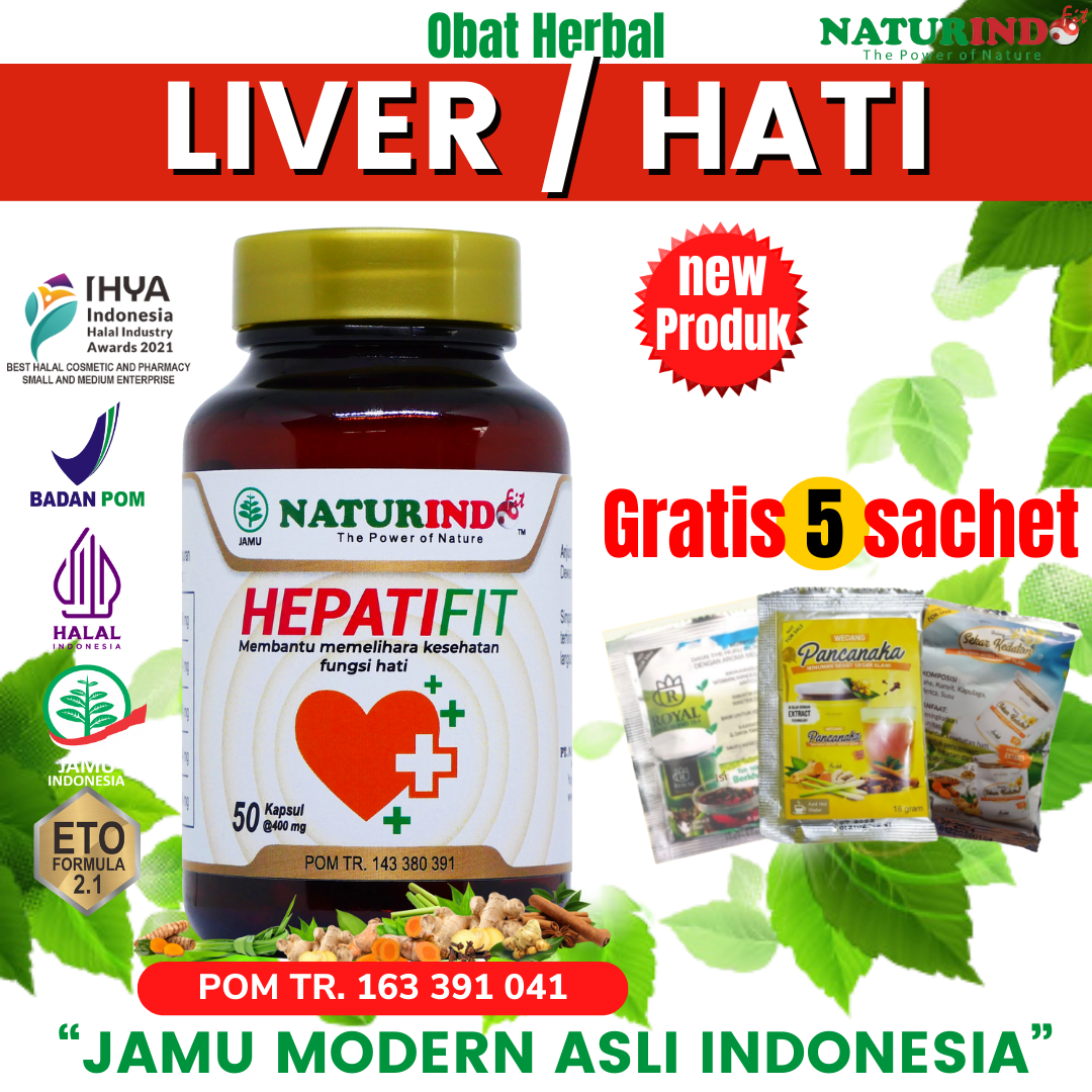 Obat Liver Perut Bengkak Herbal Hepatifit Naturindo