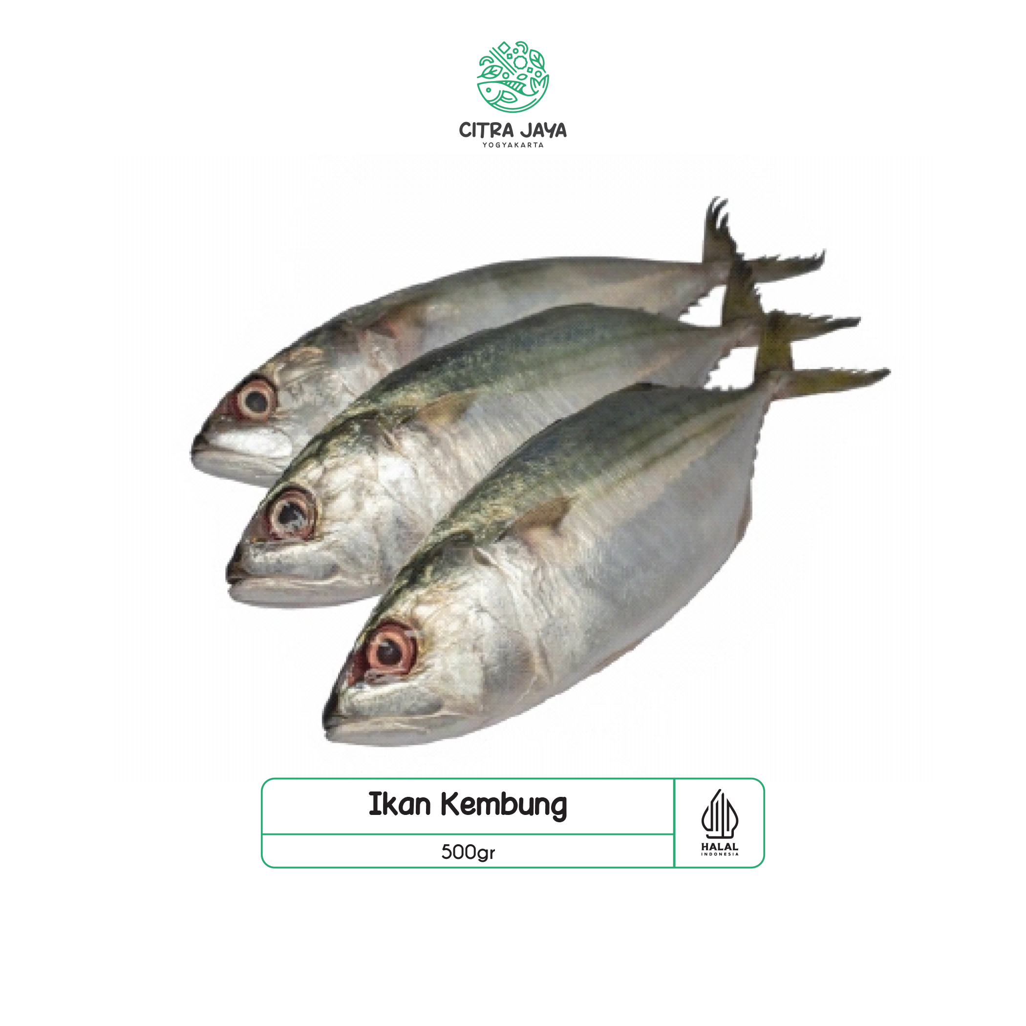 

Ikan Kembung 500g - Citra Jaya Yogyakarta