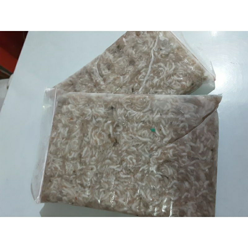 

Udang Rebon