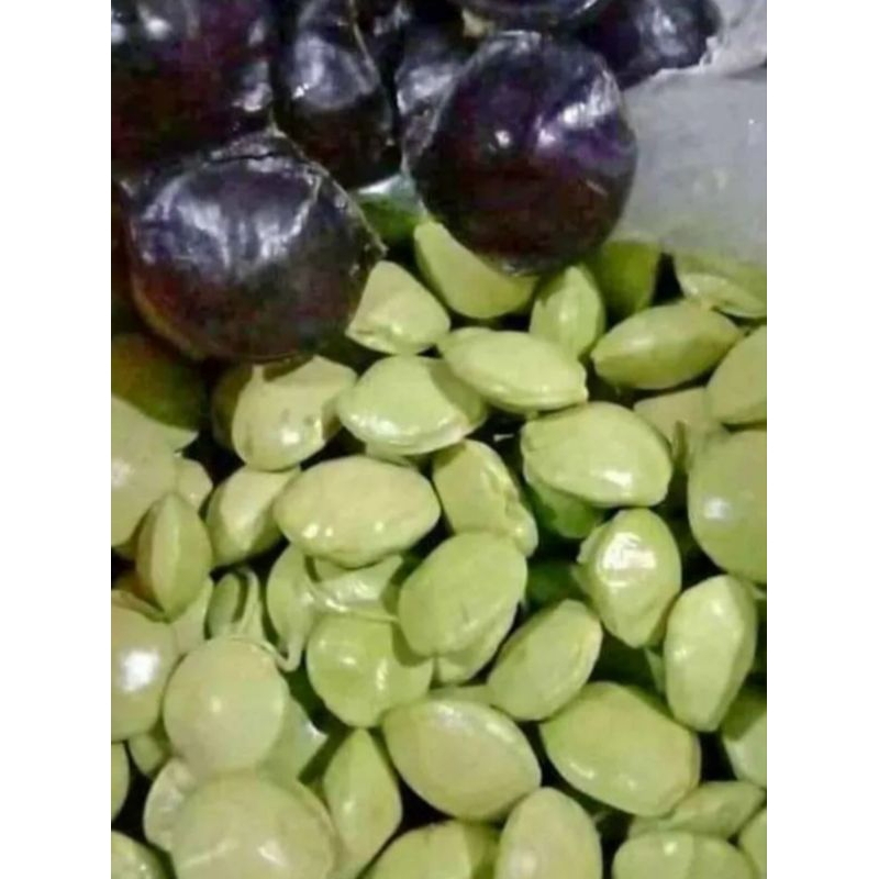

promo 1kg jengkol muda pilihan readystok siap kirim jengkol non kupas/masih cangkang