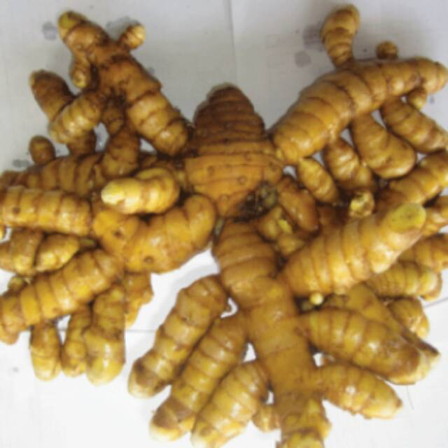 

TEMU GIRING SEGAR 500 GRAM