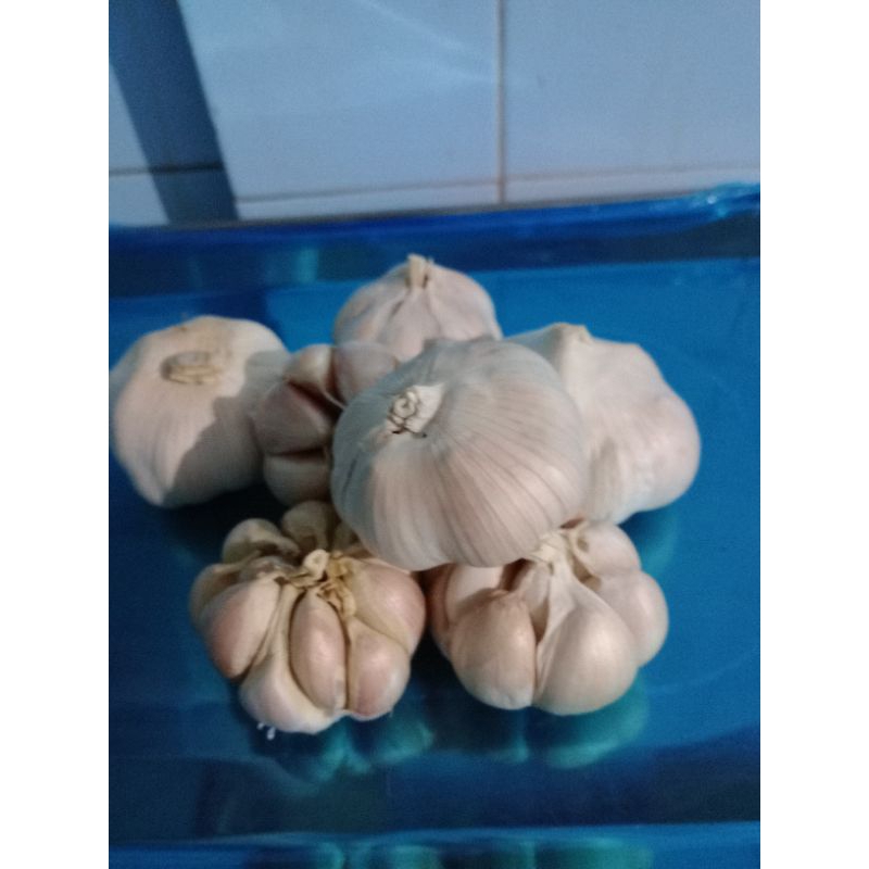 

Bawang Putih 100 gram || 250 gram