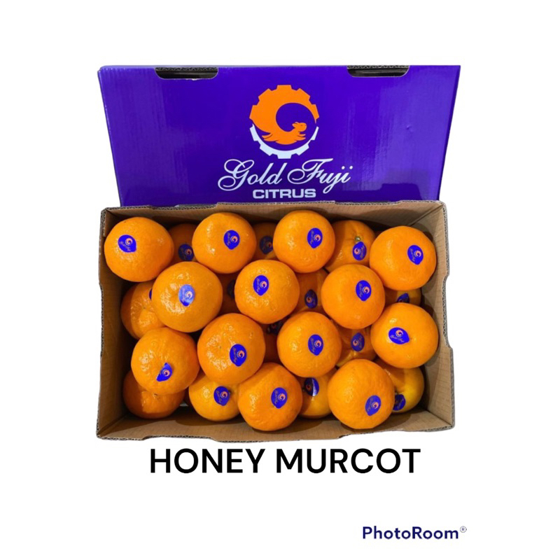 

Jeruk honey murcot sweet | Buah jeruk honey murcot citrus box 6,5 kg