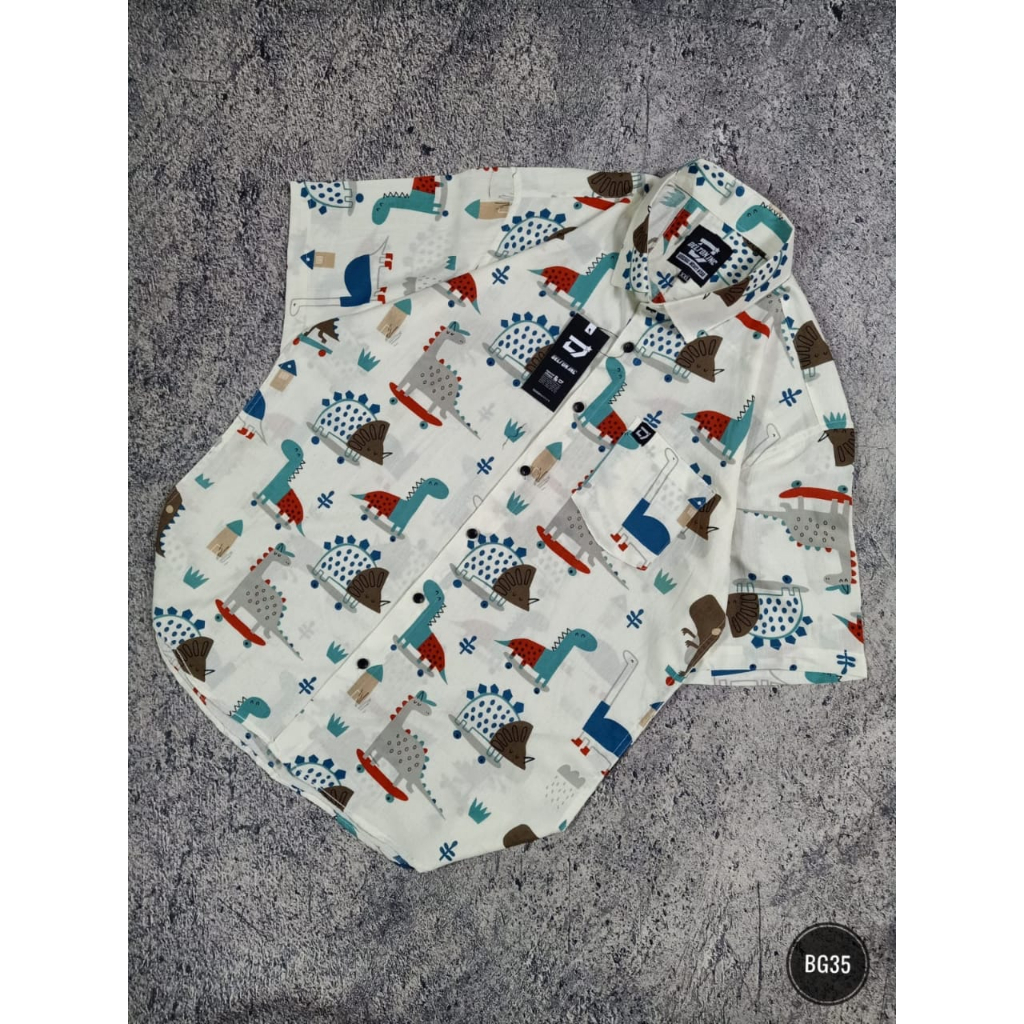 Kemeja Pria Big Size / Kemeja Pria Jumbo / Kemeja Pria Lengan Pendek Ukuran XL/XXL/XXXL (BG24)