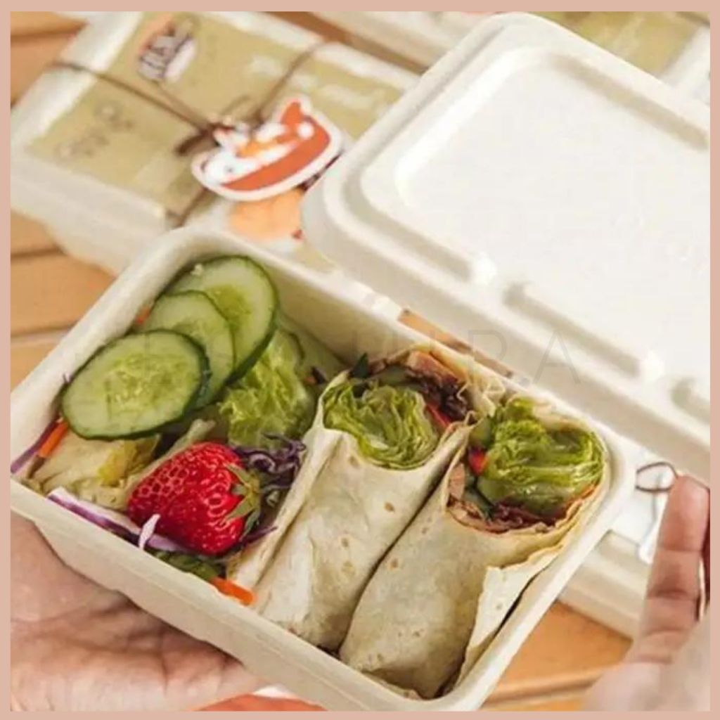 Bagasse Rectangle/Lunch Box 950 ML/10 PCS /Pulp Lid /Mika Lid / C950