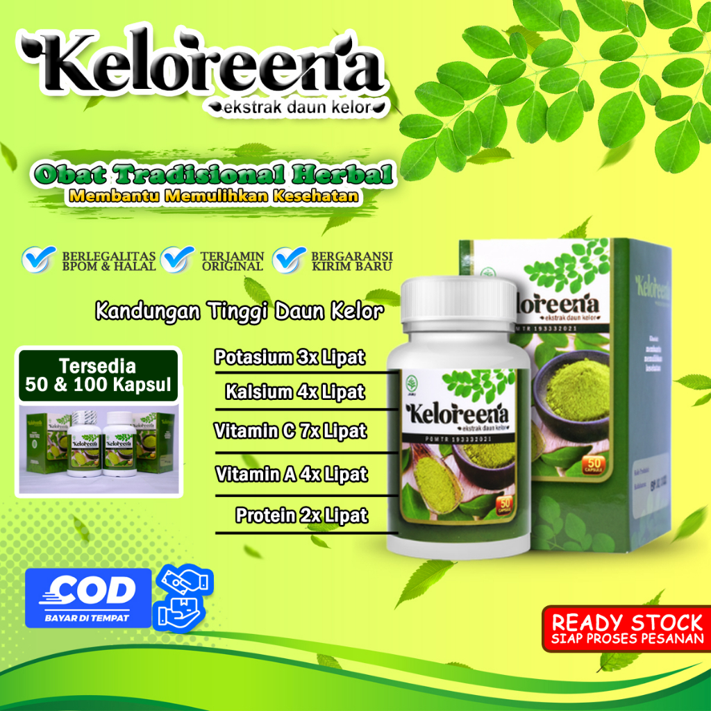 Obat Herbal Sakit Pinggang Bagian Bawah, Sakit Ginjal, Ginjal Bengkak, Gejala Ginjal Bocor