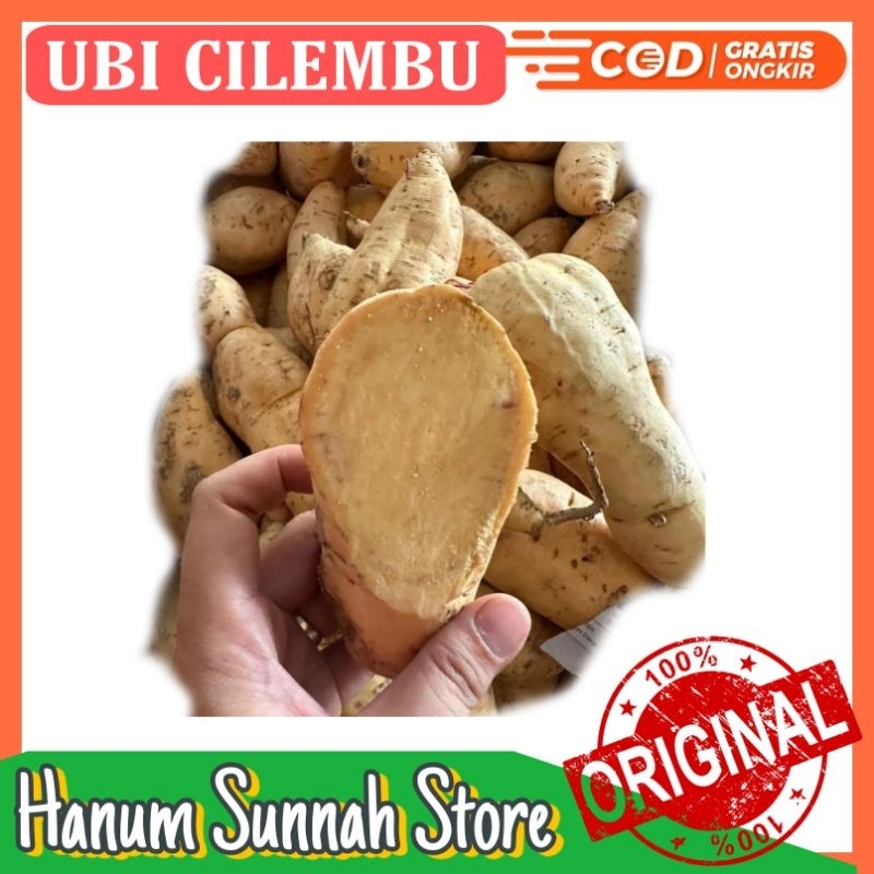 

[MURAH !!!] Ubi Cilembu kota Malang / Ubi Cilembu/ Ubi Cilembu Madu / Telo cilembu/ Telo Madu / Ketela Cilembu / Ketela Madu