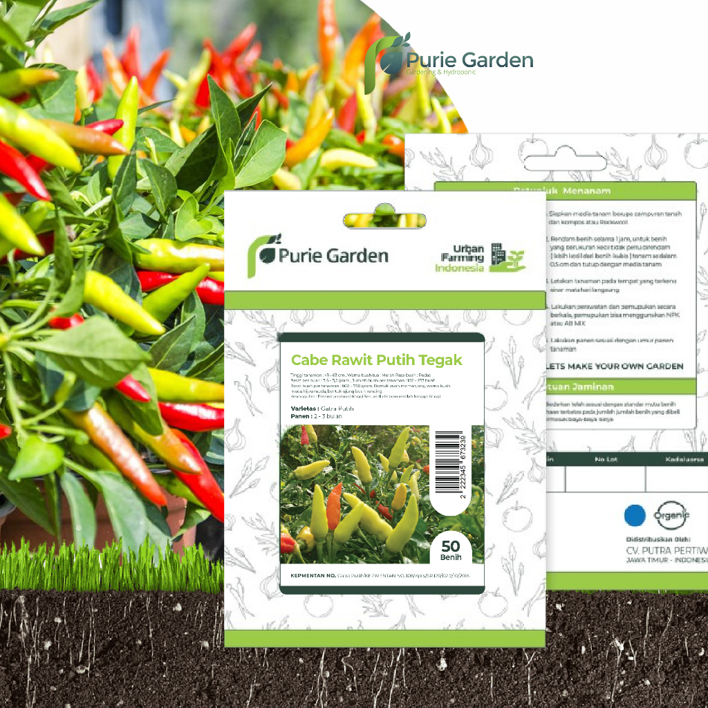 Bibit Benih Cabe Rawit Putih Tegak Purie Garden 50 Benih PG SBY