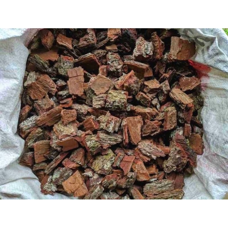 Media Tanam Kulit Pinus Pine Bark