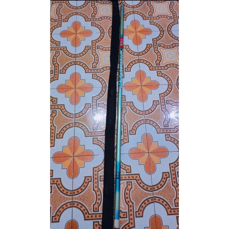 TICA WONDER 6M SECOND