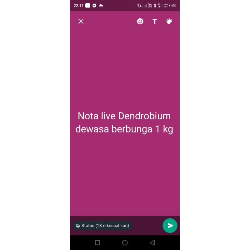 nota live anggrek dendrobium dewasa Dan Bulan premium  berbunga 1kg