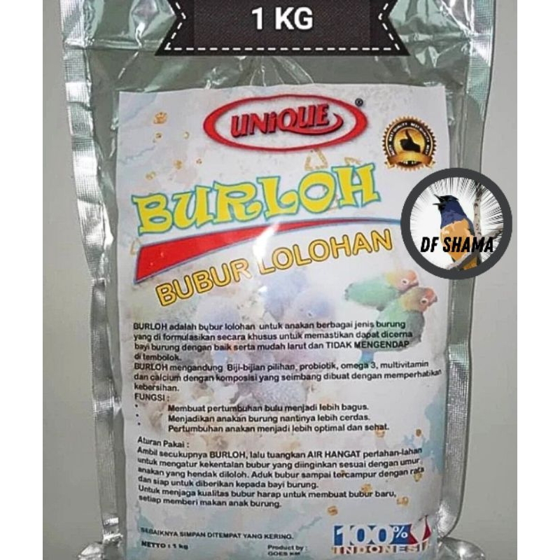 Burloh Pakan Lolohan Anakan Burung Lovebird Murai Kacer Anis Ijo Pleci