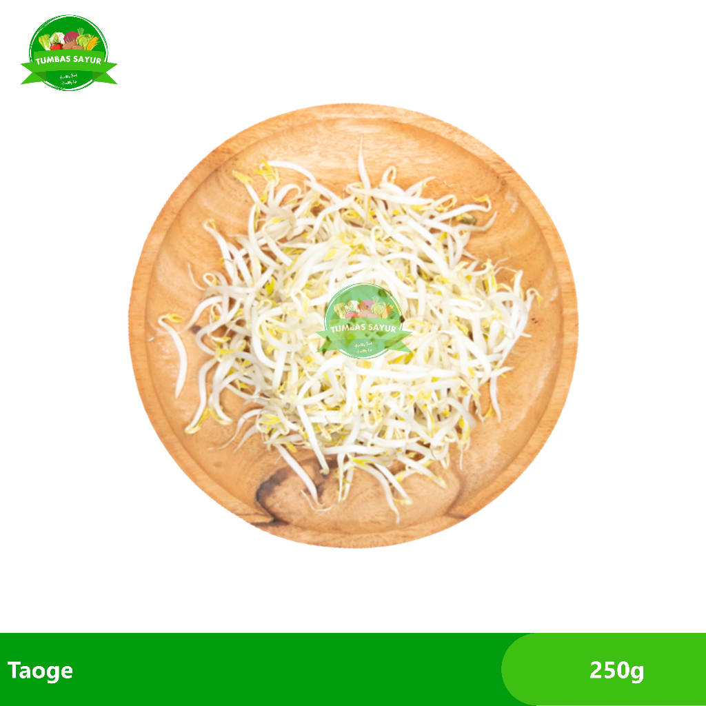 

Taoge/ Toge 250g
