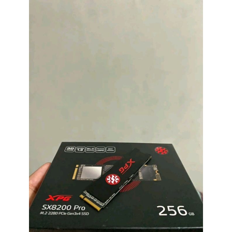 SSD SX8200 Pro 256 GB