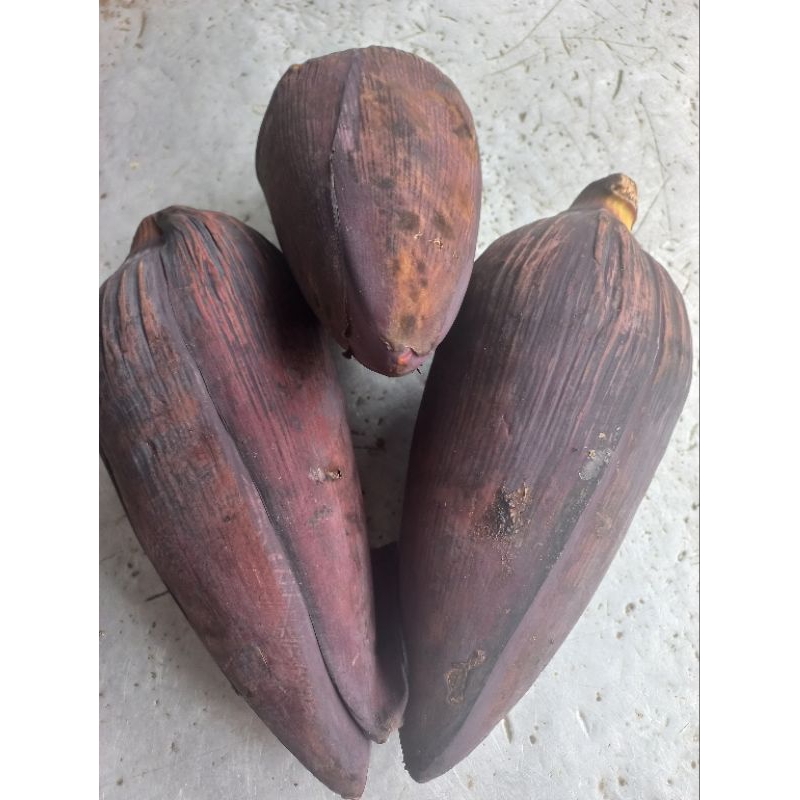 

Jantung Pisang