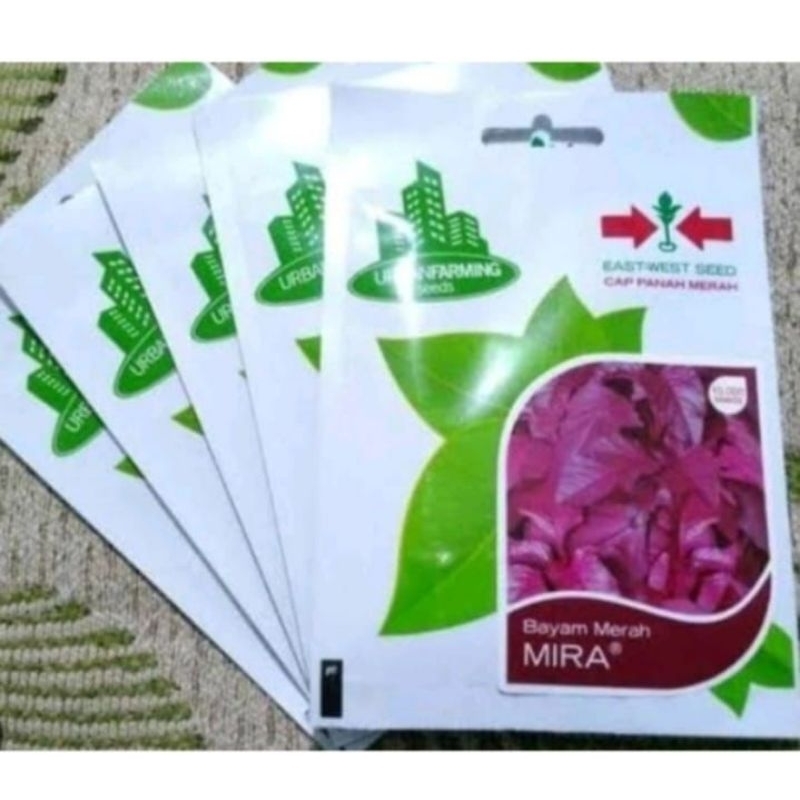 

bibit merah subur