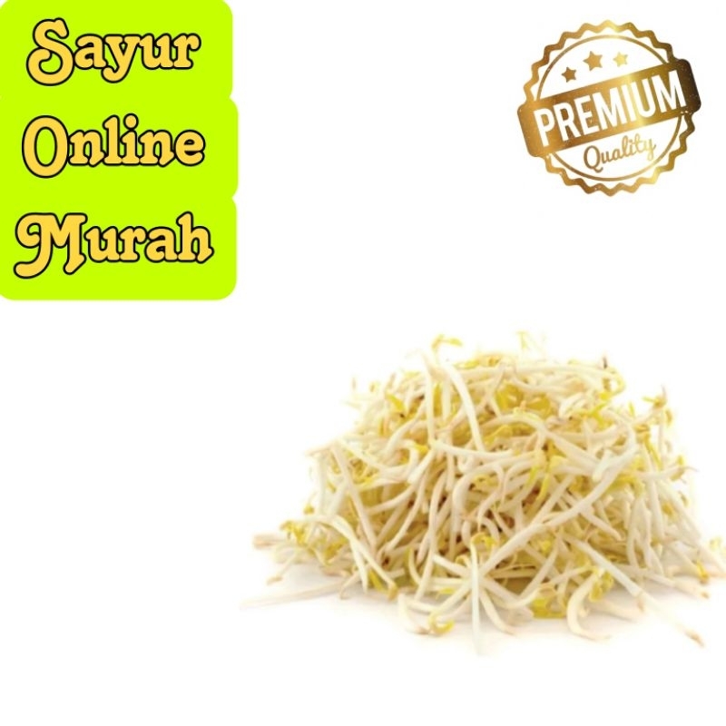 

Tauge Fresh 250 gram - 1 kg Surabaya