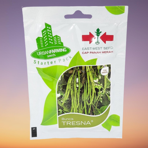 Benih Buncis TRESNA