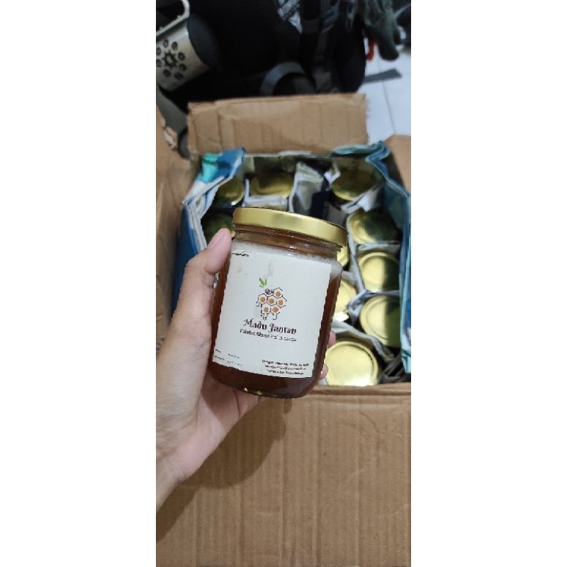 

Madu kelulut / kelanceng kalimantan