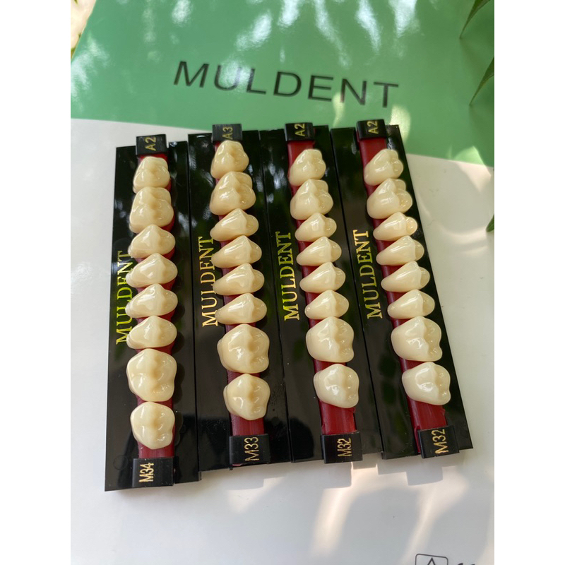 GIGI MULDENT GERAHAM 1 PAPAN