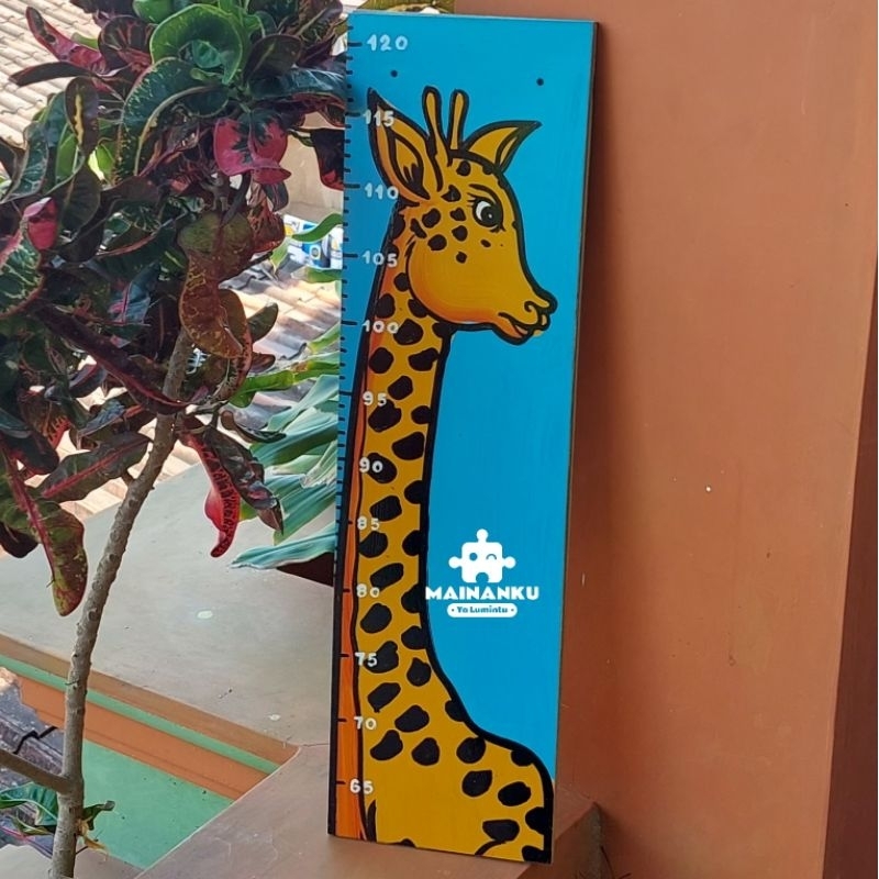 Ukuran Tinggi Badan Kayu