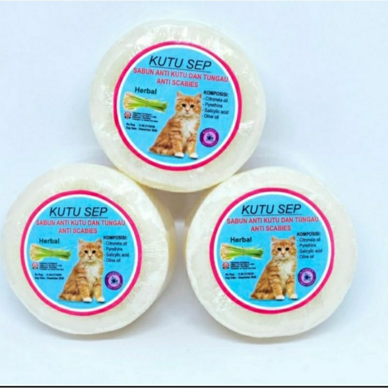 Sabun Anti Kutu Kucing Kutu Sep Kucing Sabun Mandi Kutu Kucing