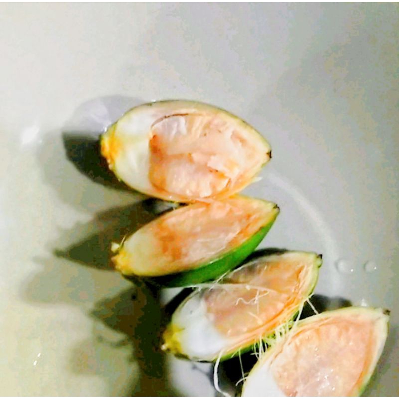 

buah pinang muda