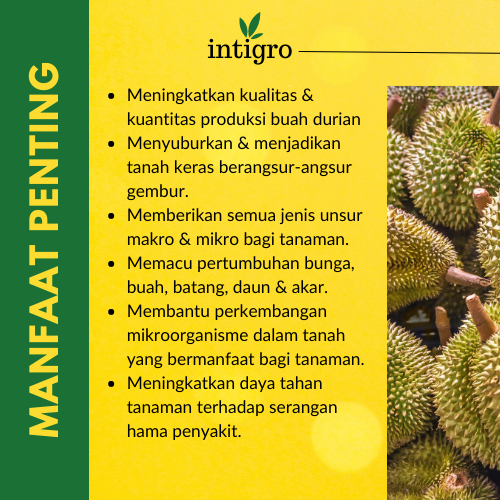 Shopritz Pupuk Durian Pelebat Buah Dan Anti Rontok / Pupuk Booster Durian / Pupuk Durian Agar Cepat