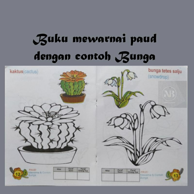 Buku mewarnai paud Bunga belajar mewarnai