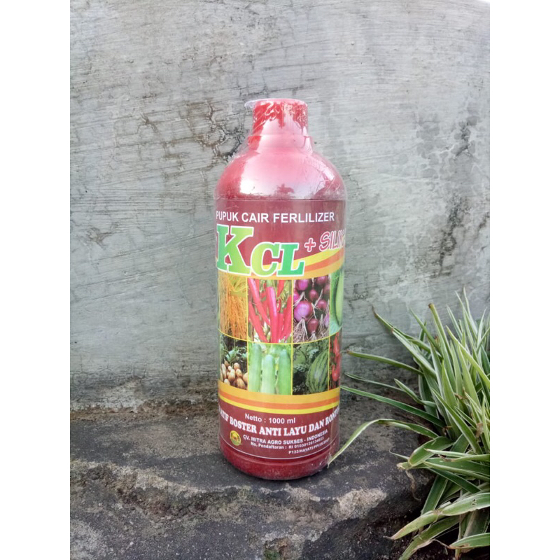 Pupuk Cair KCL Plus Silika 1 liter