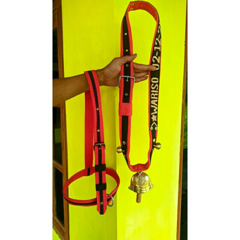 AKSESORIS SAPI & BRANGUS