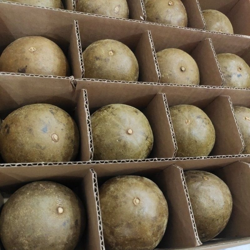 

Buah Lohankuo untuk panas dalam