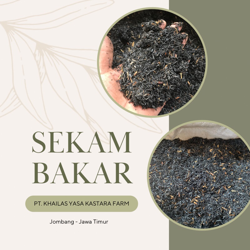 Sekam Bakar Murni 1kg