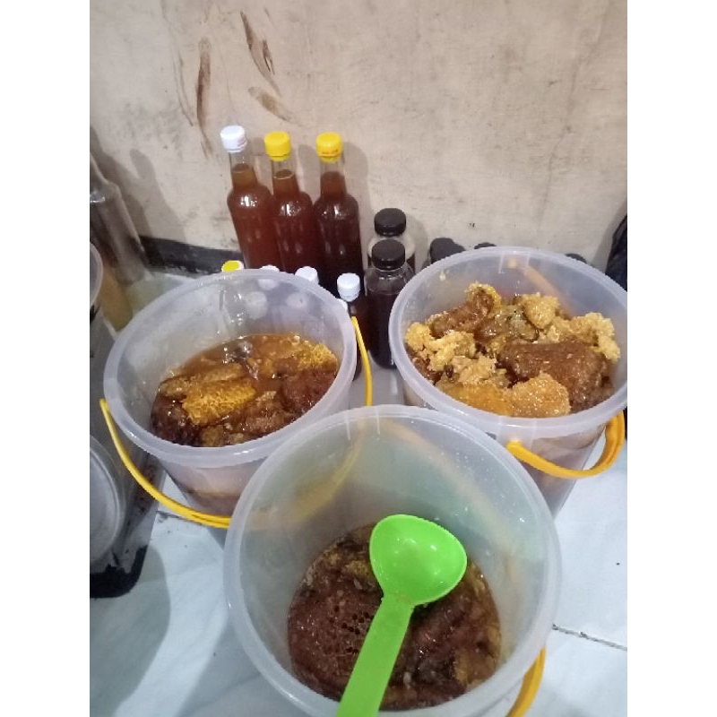 

Madu Asli hutan liar sarang odeng 500-1kg