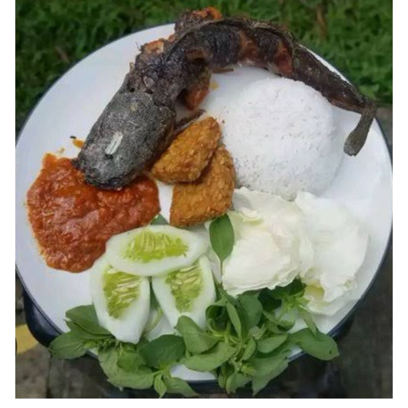 

Pecel LeLe