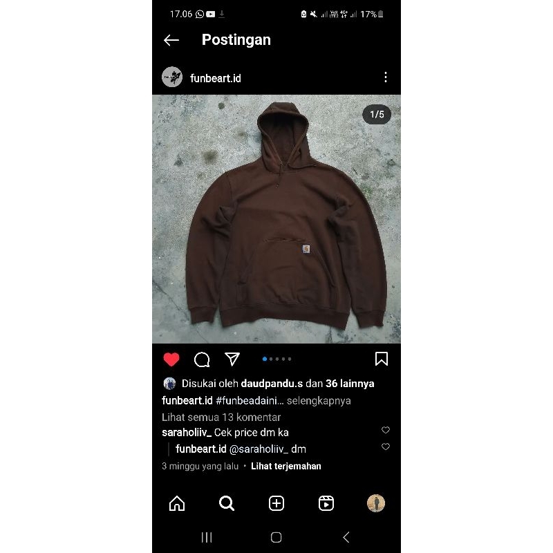 hoodie carhartt brown