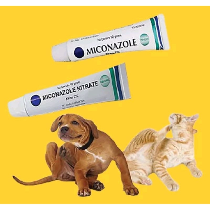 SALEP JAMUR KUCING MICONAZOLE NITRATE