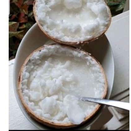 

Kelapa Kopyor 1 BUTIR