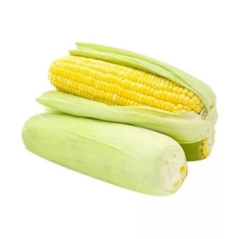 

Promo 1pcs Jagung Manis