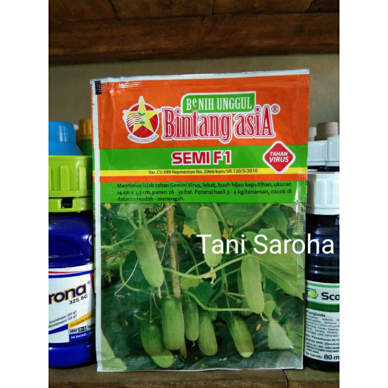 BIBIT TIMUN SEMI F1... 20 GR BINTANG ASIA