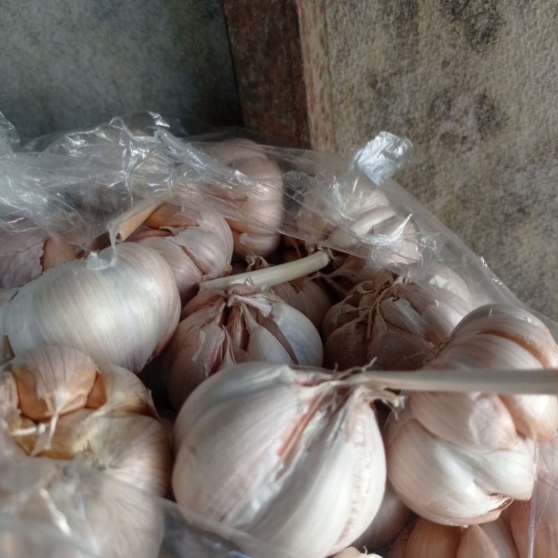 

REMPAH BAWANG PUTIH 500gram BAHAN POKOK BAHAN MASAK DAPUR