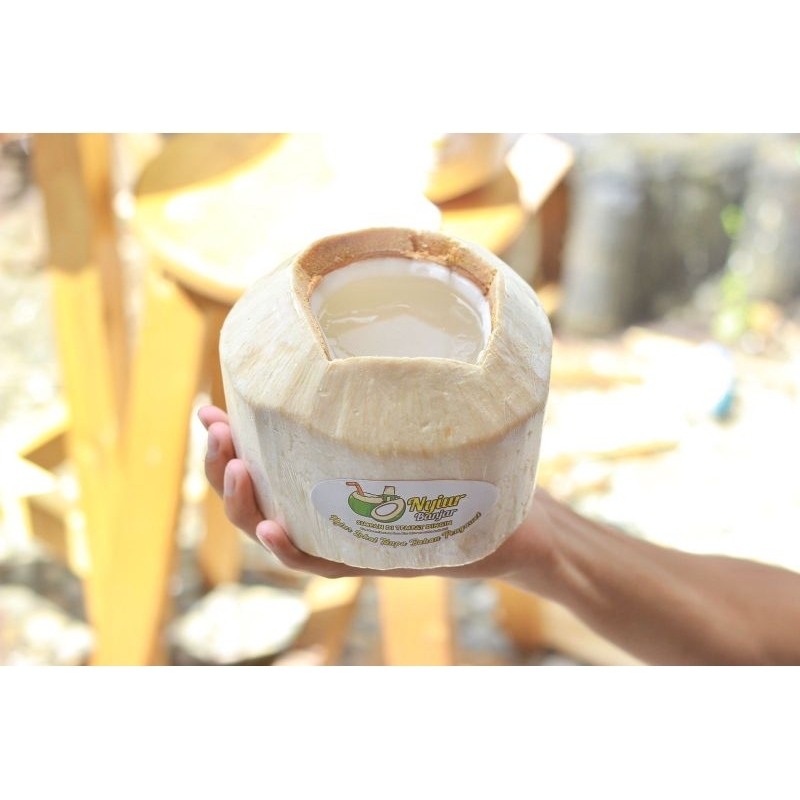 

NYIUR BANJAR JELLY PREMIUM