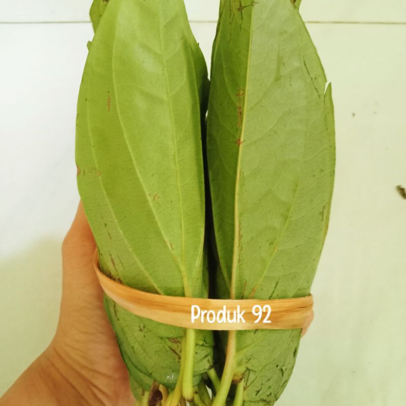 

Daun Sirih Tanah Karo Demban Asli Medan Sirih Tiga Binanga Sirih Medan 2 Baris