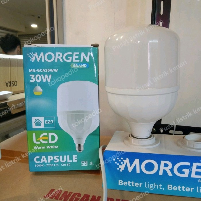 GARANSI 1 TAHUN LAMPU LED BULB KAPSUL CAPSULE MORGEN 30W 30 WATT