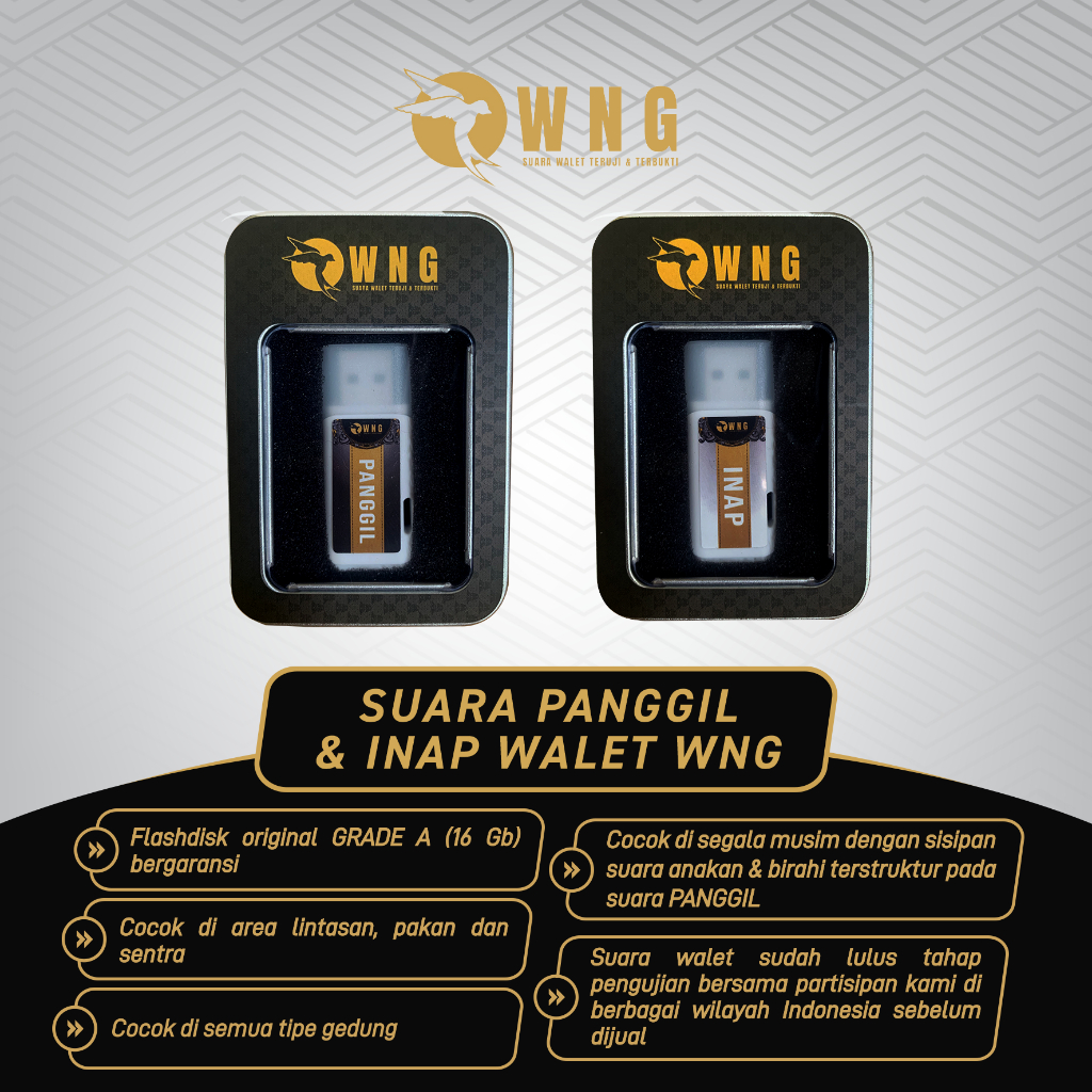 Suara Walet Panggil dan Inap Original WNG / Suara burung Walet / Suara Panggil dan Inap Walet Mp3 / 