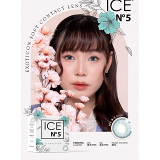 Softllens ICE N5 DIA 14.50mm BROWN MINUS (-6.50 s/d -10.00) BS