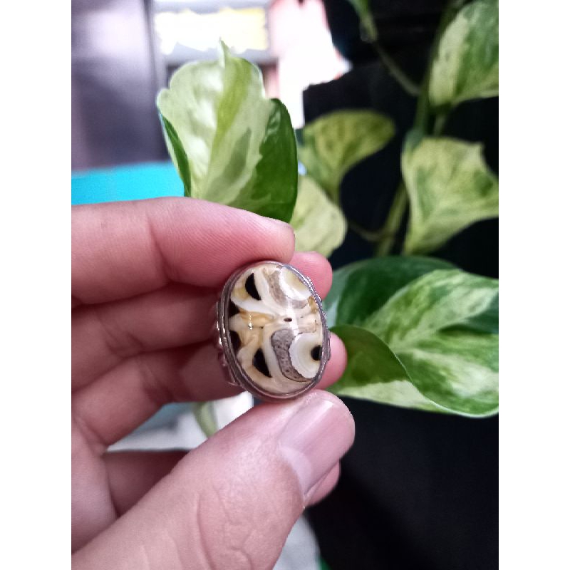 Batu akik unik,antik,dan jarang ada (combong)