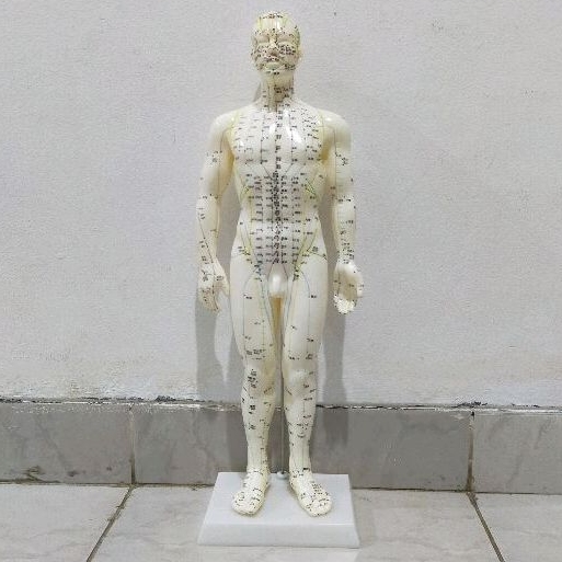 Patung Akupuntur Model Pria / Boneka Titik-Titik Akupuntur